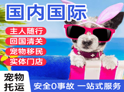 平潭空运地址国际宠物托运 【国